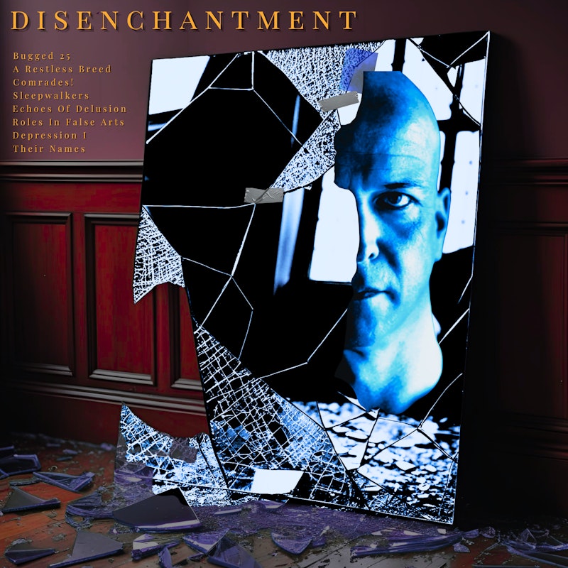 Disenchantment cover
